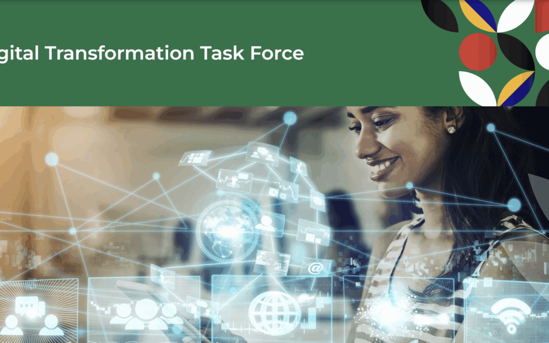 B20 South Africa Digital Transformation Task Force